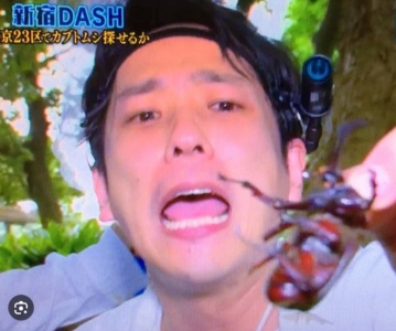 二宮和也が国分太一にカブトムシを掴まされている