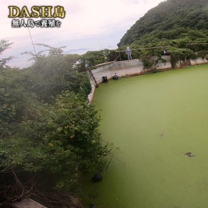 DASH村のエビを養殖する用の池