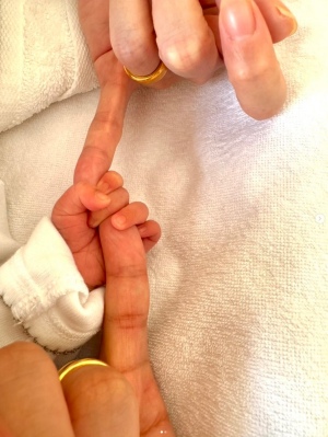 インスタ投稿で、趣里と三山凌輝が結婚指輪をつけている
